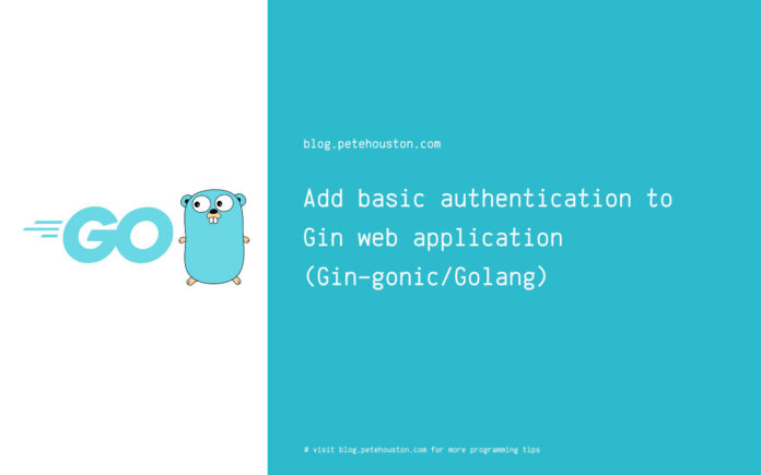 Add basic authentication to Gin web application