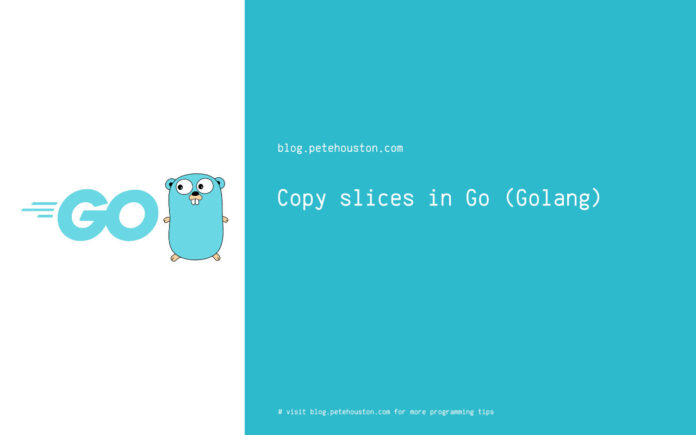 Copy slices in Go