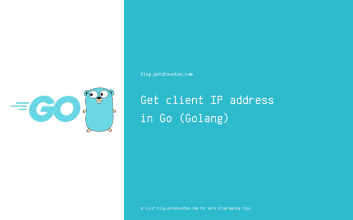 Get client IP address in Go web application