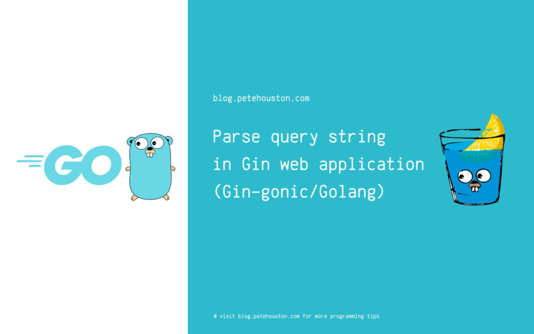 Parse query string in Gin web application