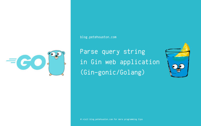 Parse query string in Gin web application