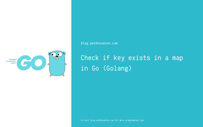 Check if key exists in a map in Go