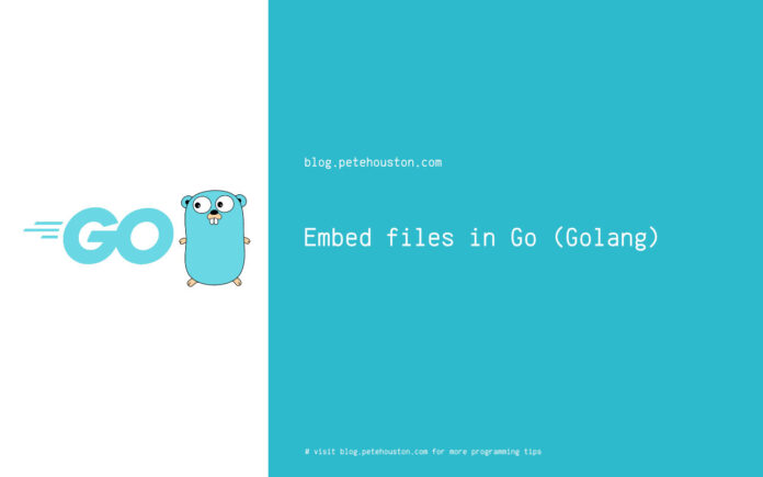 Embed files in Go